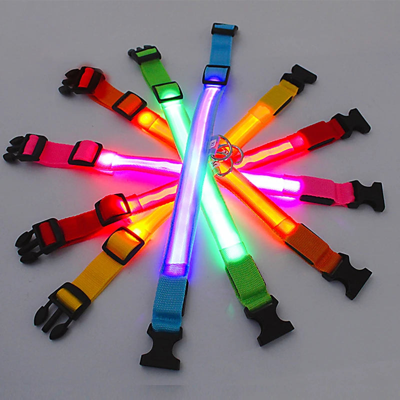 Collier lumineux rechargeable par USB pour chien