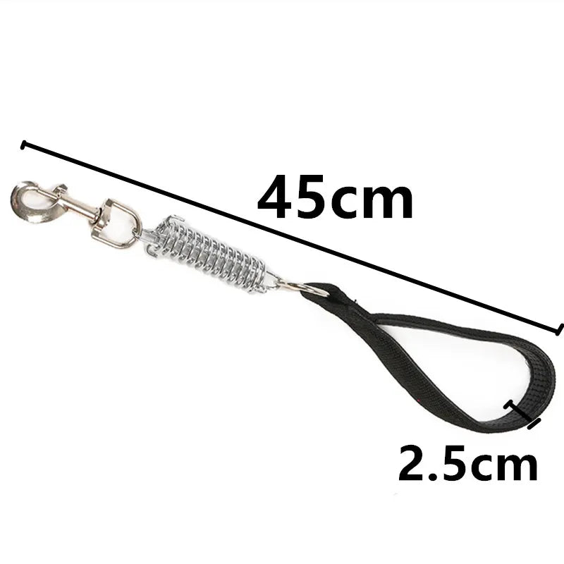 Laisse courte avec ressort pour chien