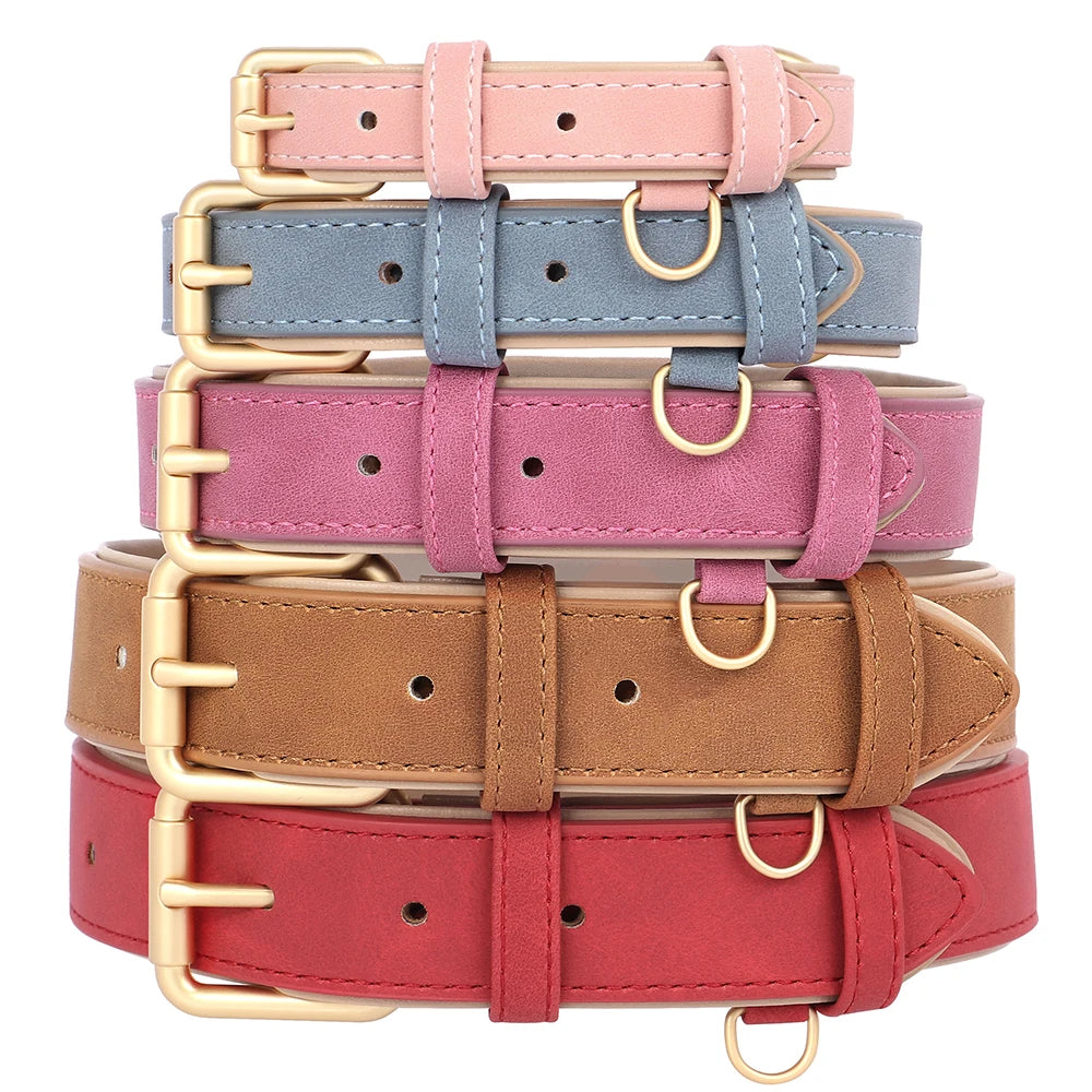 Collier et laisse rembourrés en simili cuir pour chien