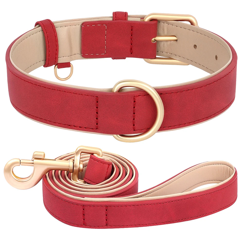 Collier et laisse rembourrés en simili cuir pour chien