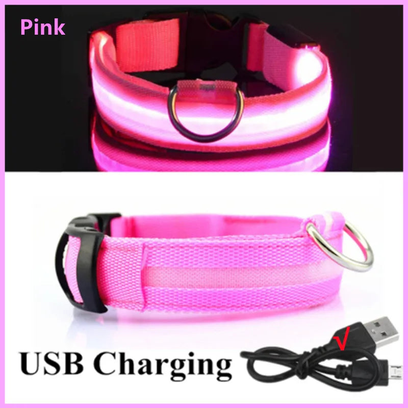 Collier lumineux rechargeable par USB pour chien