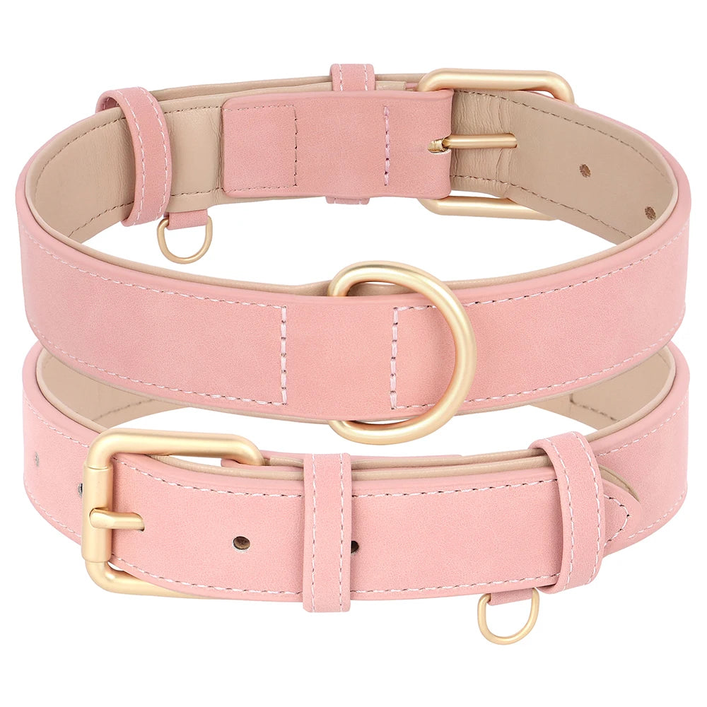 Collier et laisse rembourrés en simili cuir pour chien
