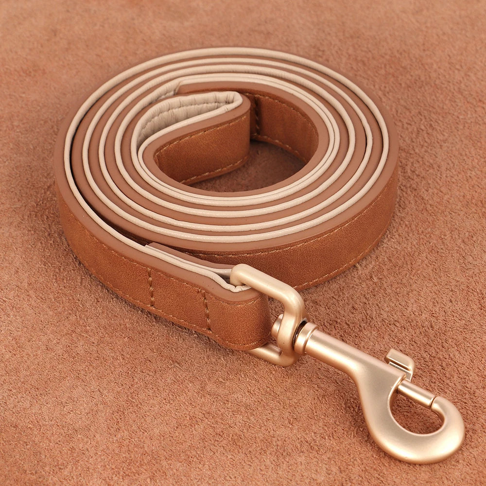 Collier et laisse rembourrés en simili cuir pour chien