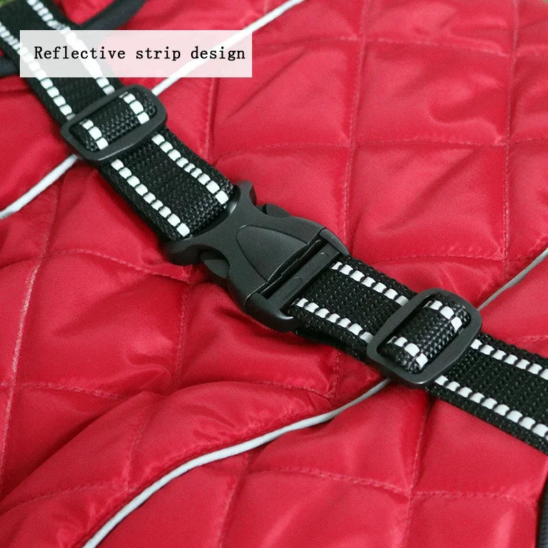 Manteau Imperméable – Veste Hivernale Réfléchissante pour Chien