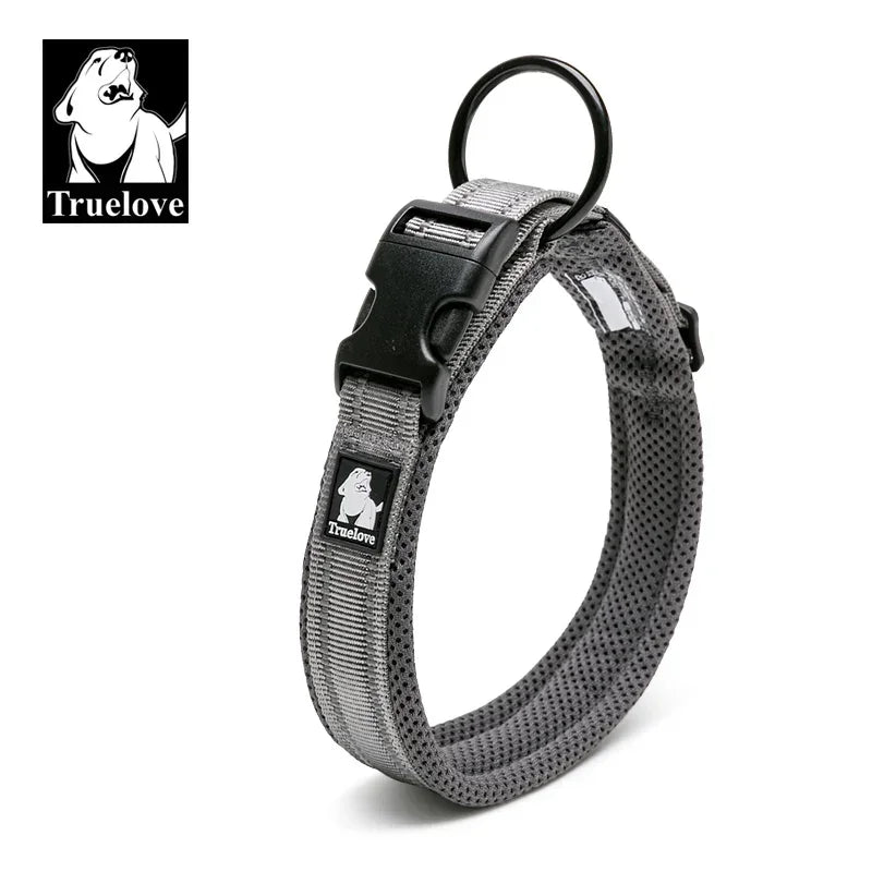 Collier pour chien rembourré et réfléchissant – Ajustable