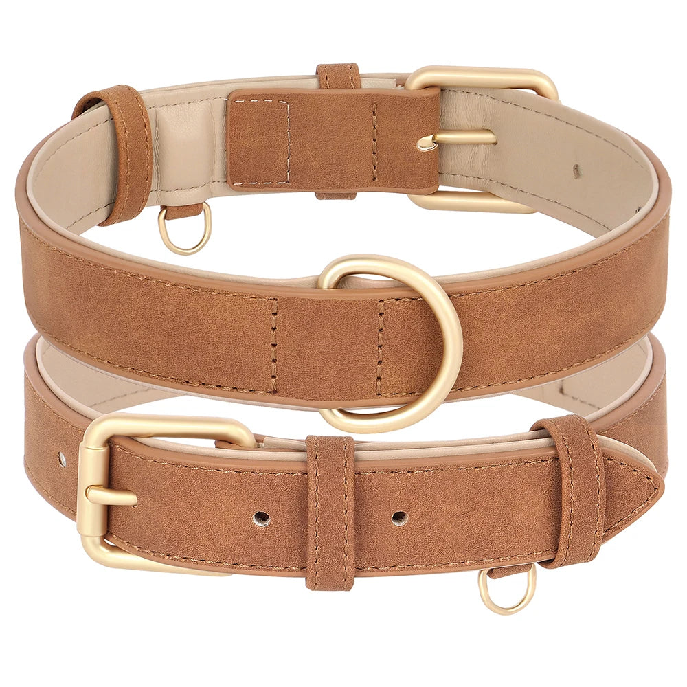 Collier et laisse rembourrés en simili cuir pour chien