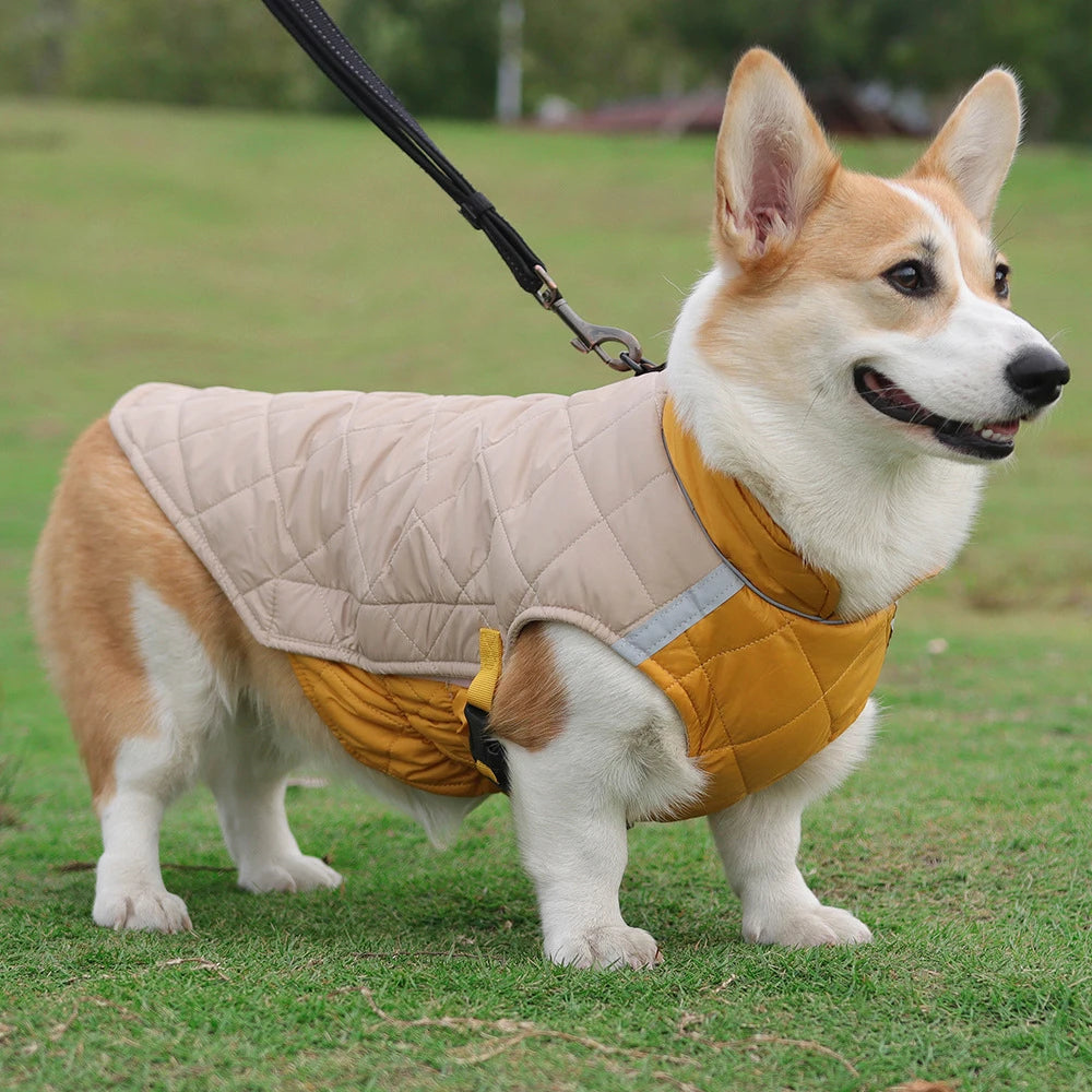 Manteau Imperméable – Veste Matelassée Hivernale pour Chien