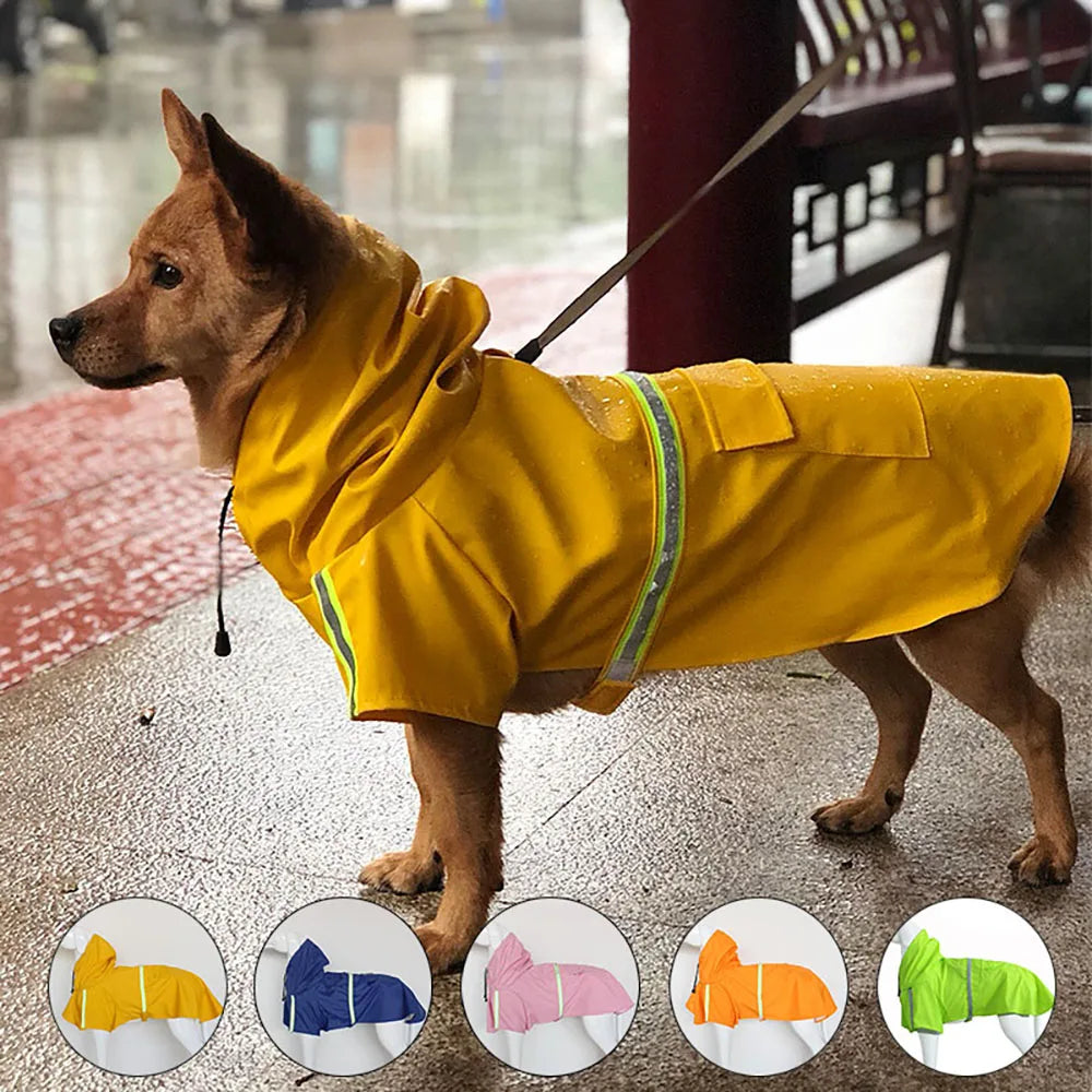 Manteau Imperméable – Manteau de pluie à capuche pour chien