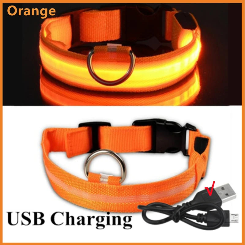 Collier lumineux rechargeable par USB pour chien