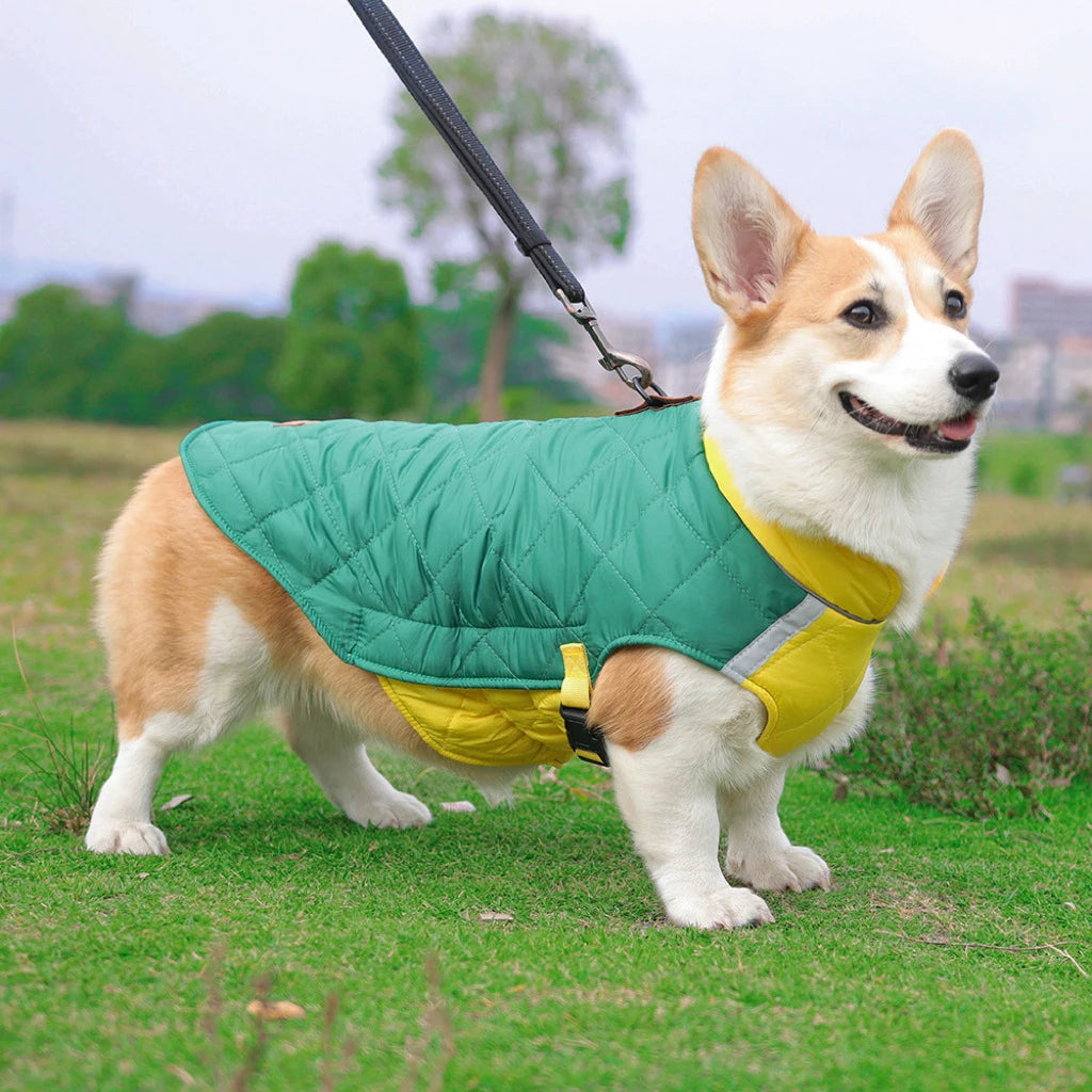 Manteau Imperméable – Veste Matelassée Hivernale pour Chien