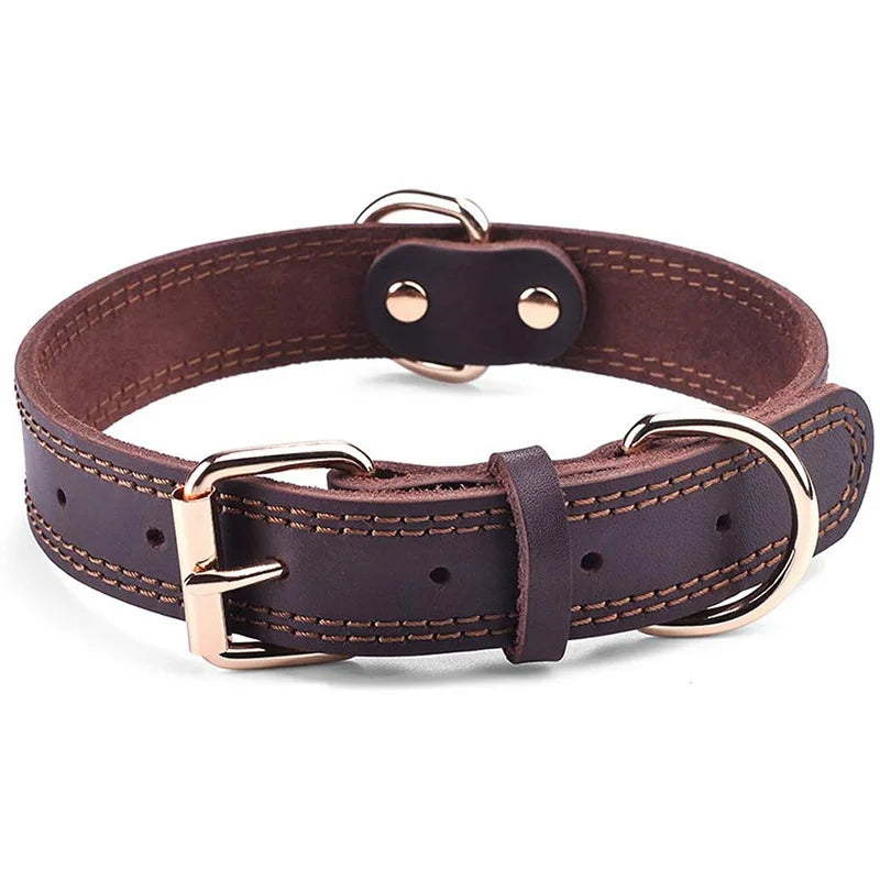 Collier en cuir véritable à double anneau pour chien