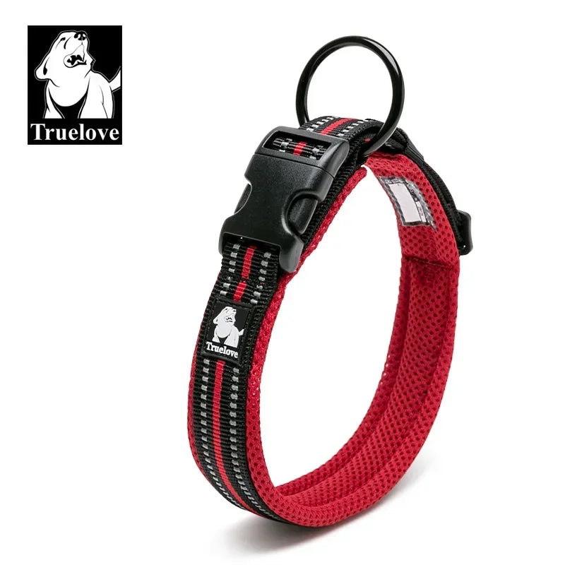 Collier pour chien rembourré et réfléchissant – Ajustable