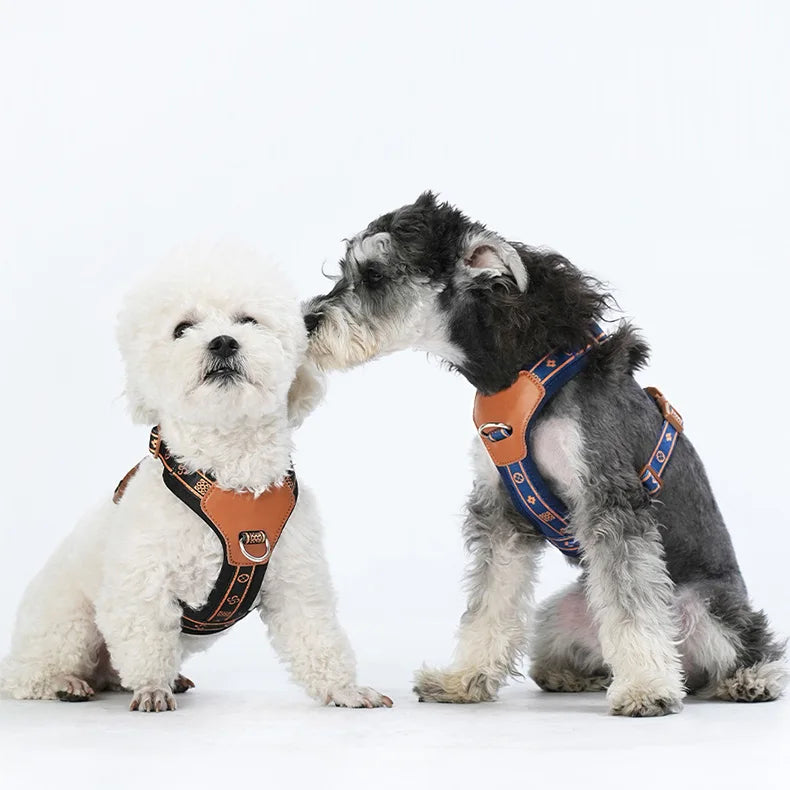 Harnais ajustable réfléchissant pour chien – Modèle gilet