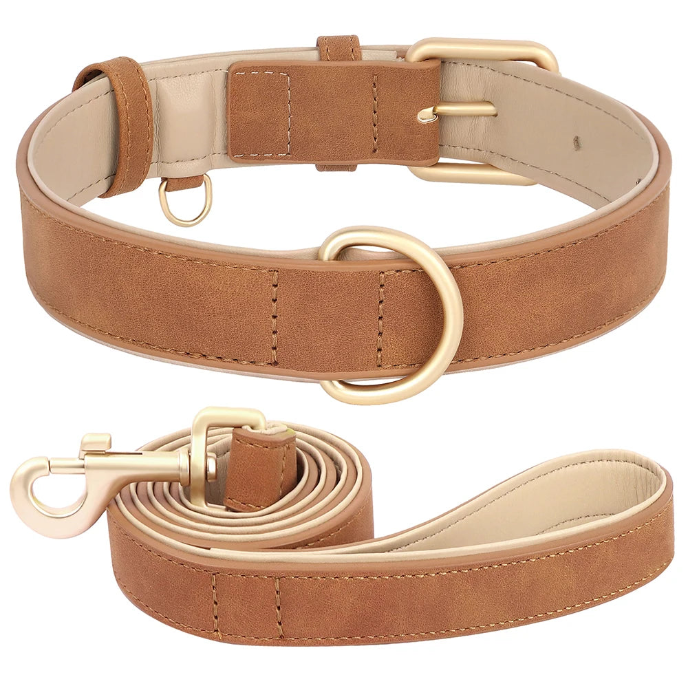 Collier et laisse rembourrés en simili cuir pour chien