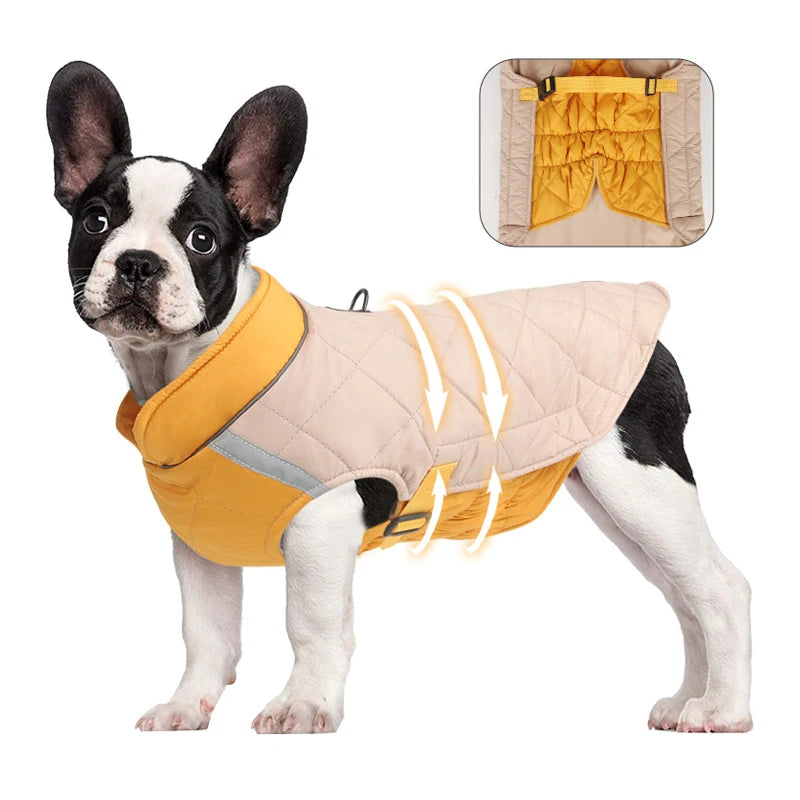 Manteau Imperméable – Veste Matelassée Hivernale pour Chien