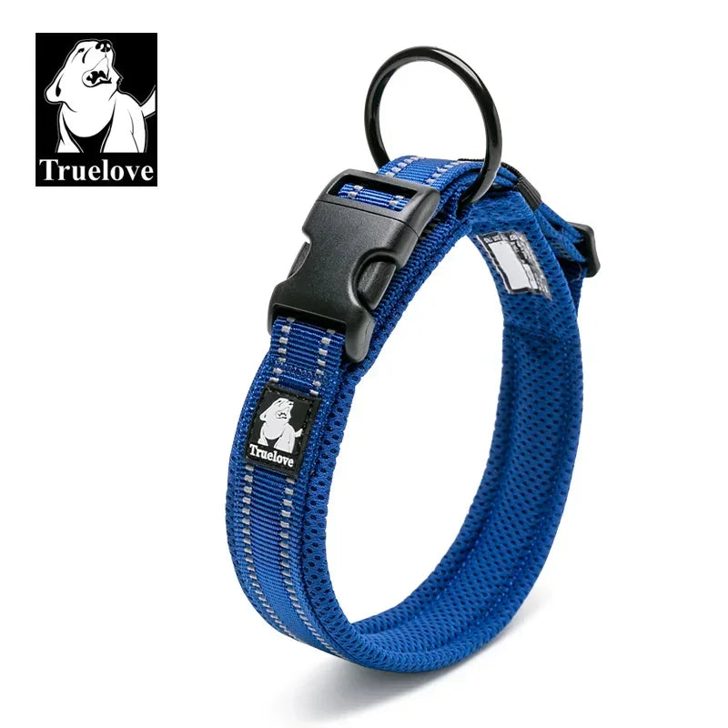 Collier pour chien rembourré et réfléchissant – Ajustable