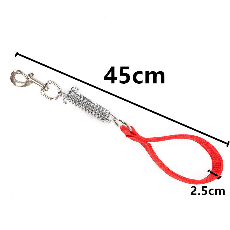 Laisse courte avec ressort pour chien
