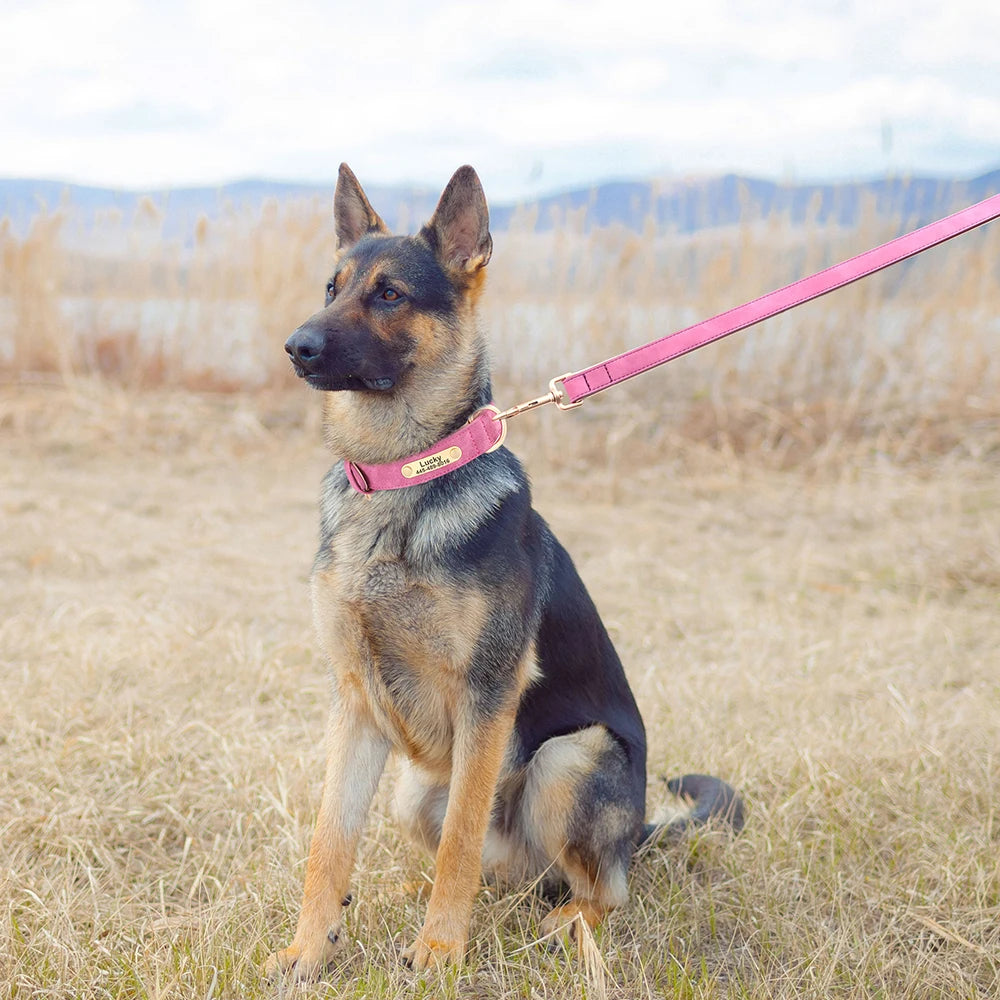 Collier et laisse rembourrés en simili cuir pour chien