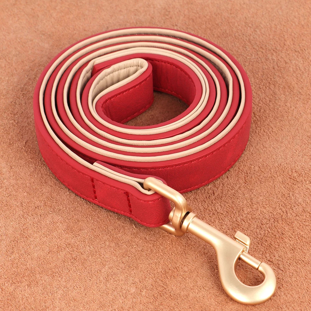 Collier et laisse rembourrés en simili cuir pour chien