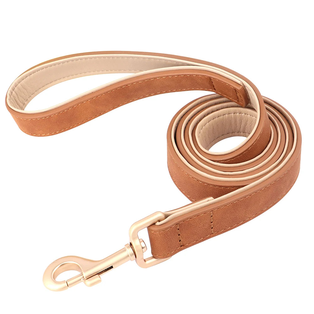 Collier et laisse rembourrés en simili cuir pour chien