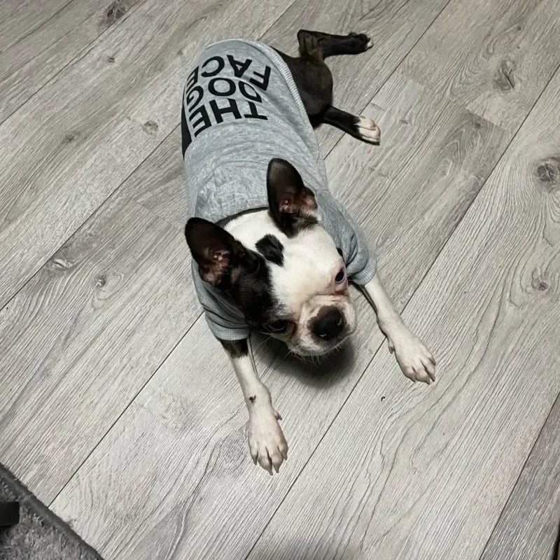 Manteau d’Hiver – Sweat à capuche chaud “Dog Face” pour chien