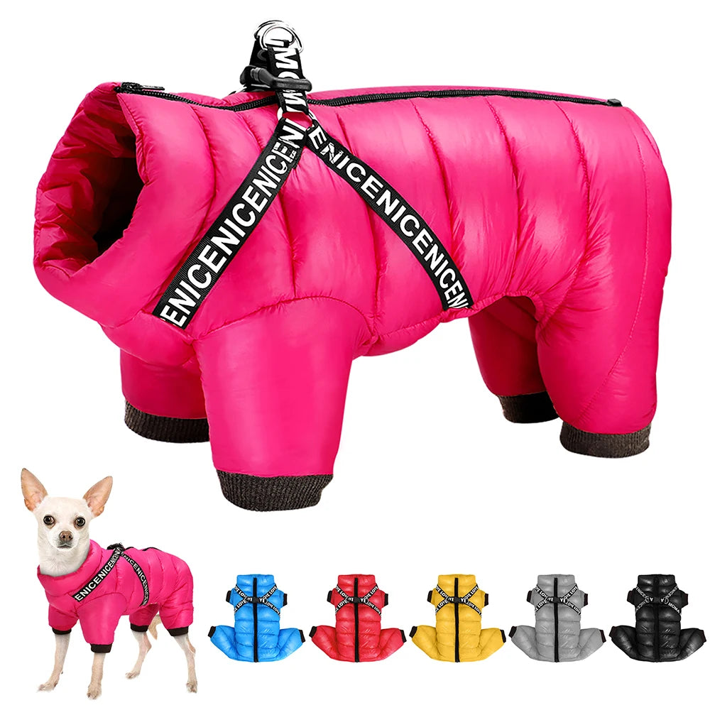 Combinaison d’Hiver – Combinaison imperméable avec harnais intégré pour chien