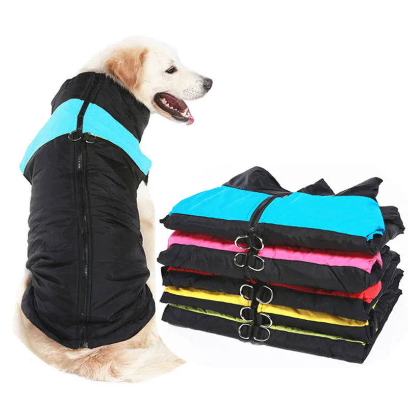 Cette catégorie regroupe des vêtements et protections conçus pour accompagner le chien au quotidien.
Ces articles contribuent à protéger l’animal des conditions extérieures telles que le froid, le vent ou l’humidité, tout en assurant confort et liberté de mouvement.
Ils sont destinés aux sorties, aux promenades et aux périodes où une protection supplémentaire est nécessaire, selon la saison et les besoins du chien.