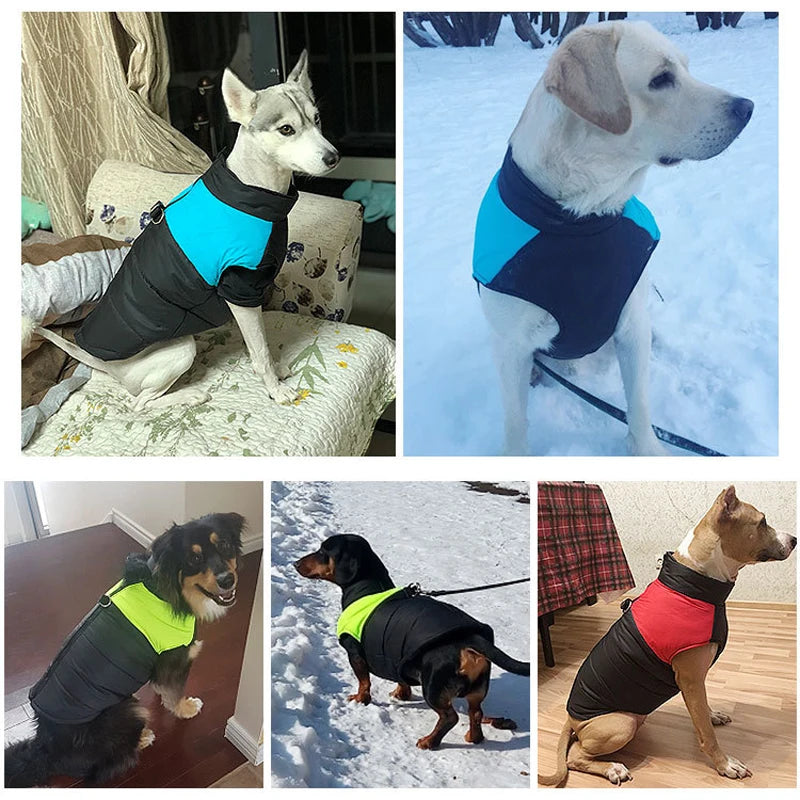 Cette catégorie regroupe des vêtements et protections conçus pour accompagner le chien au quotidien.
Ces articles contribuent à protéger l’animal des conditions extérieures telles que le froid, le vent ou l’humidité, tout en assurant confort et liberté de mouvement.
Ils sont destinés aux sorties, aux promenades et aux périodes où une protection supplémentaire est nécessaire, selon la saison et les besoins du chien.