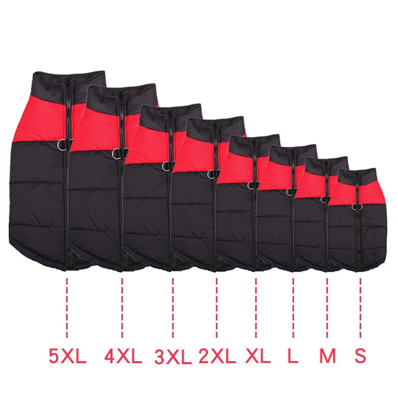 Cette catégorie regroupe des vêtements et protections conçus pour accompagner le chien au quotidien.
Ces articles contribuent à protéger l’animal des conditions extérieures telles que le froid, le vent ou l’humidité, tout en assurant confort et liberté de mouvement.
Ils sont destinés aux sorties, aux promenades et aux périodes où une protection supplémentaire est nécessaire, selon la saison et les besoins du chien.